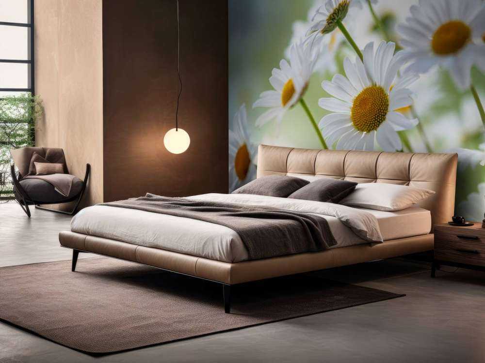 Stokrotki w zbliżeniu