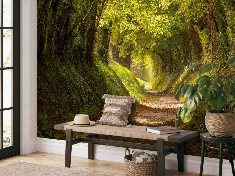 Tunel drzew Halnakera