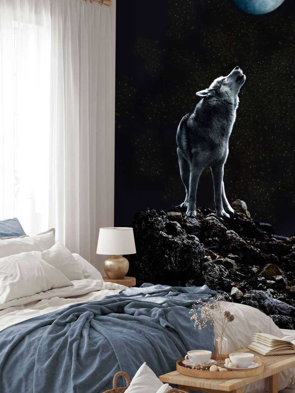 Księżyc wzywa samotnego strażnika