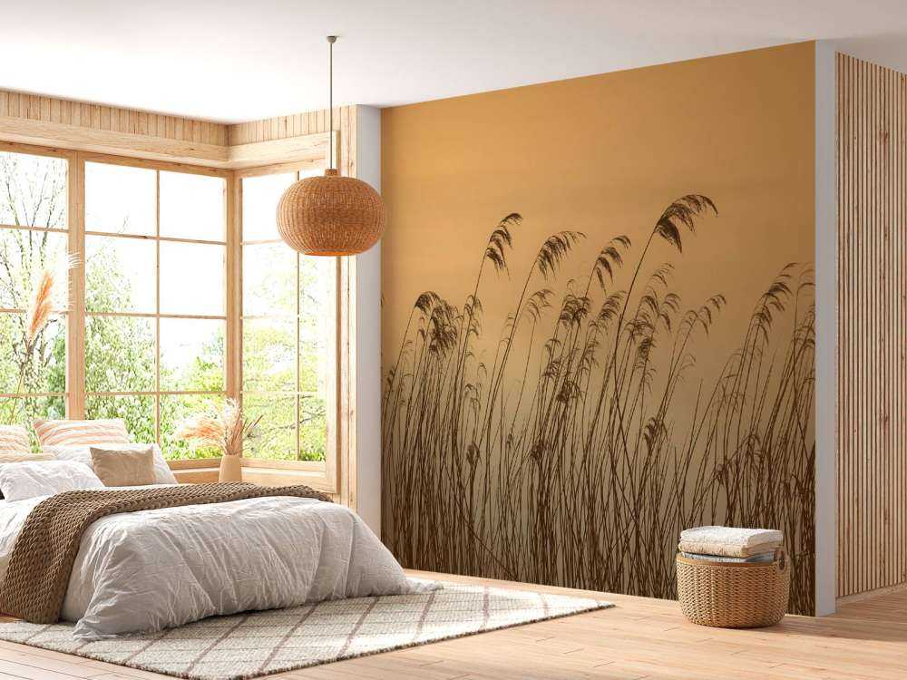 Trzcina wzdłuż nabrzeża