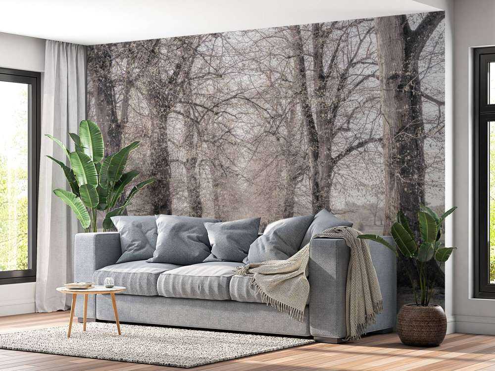 Ślady opon między drzewami