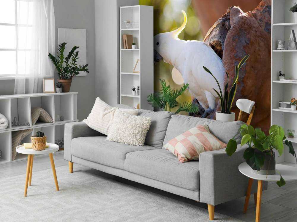 Kakadu w dziupli drzewa