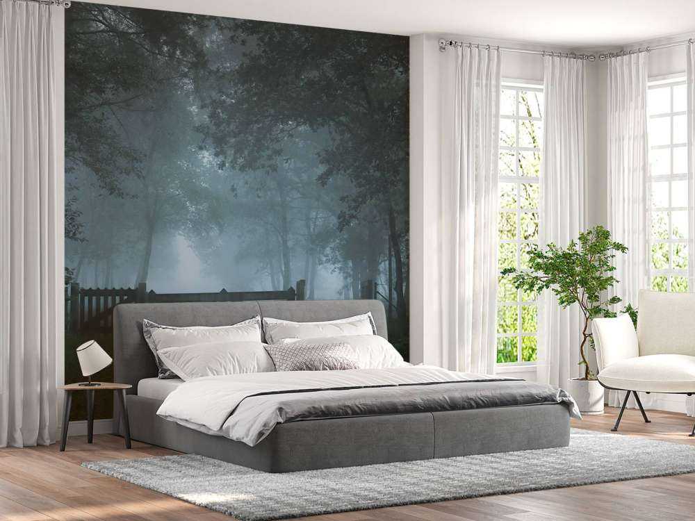 Zamglona ścieżka leśna