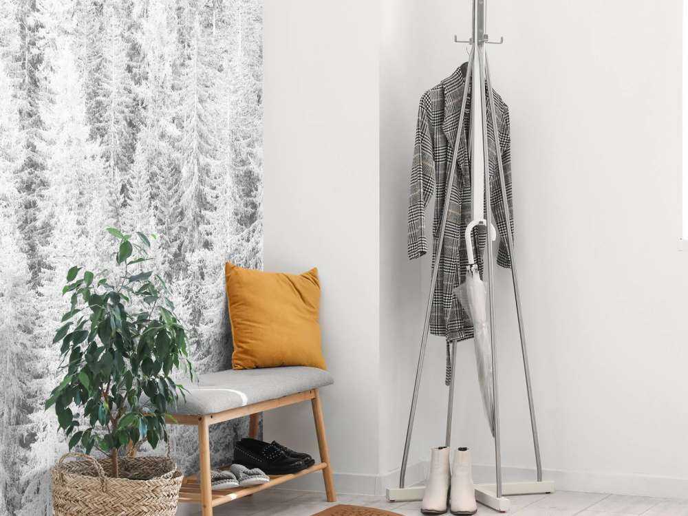 Drzewa iglaste w czerni i bieli