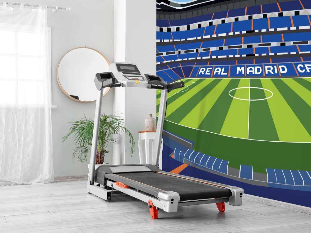 Estadio Santiago Bernabéu - Real Madrid CF