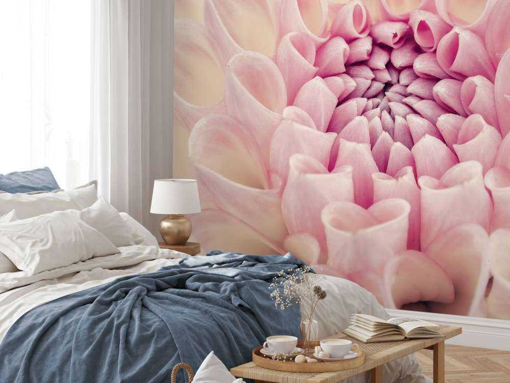 Zdjęcie z bliska dalii