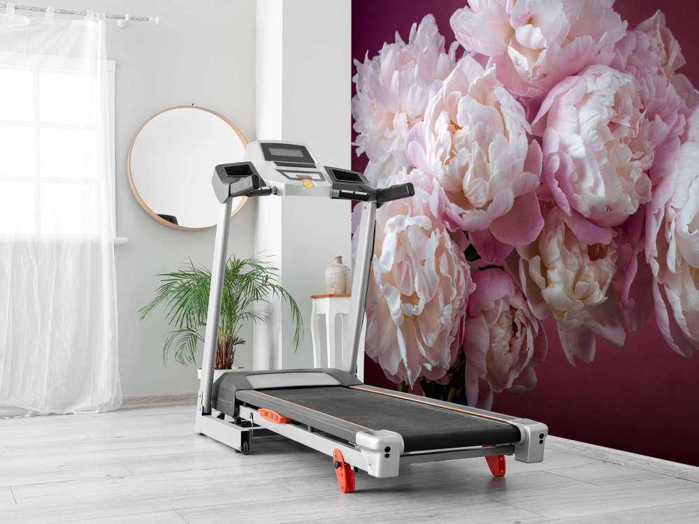 Pęczek różowych piwonii