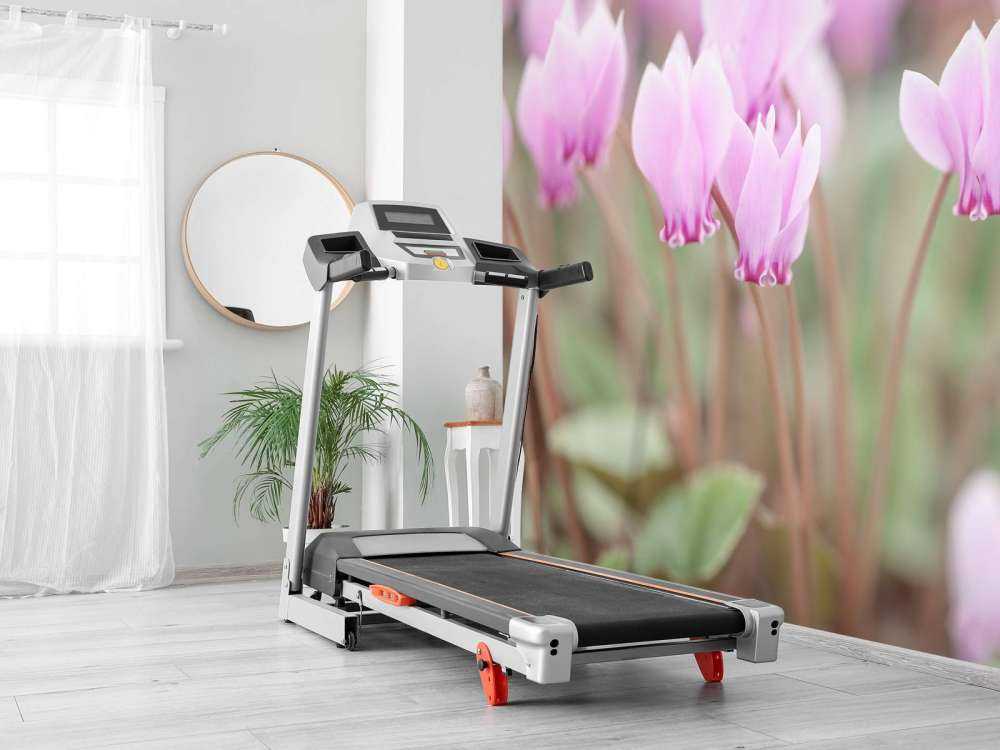 Ładne kwiaty bluszczu