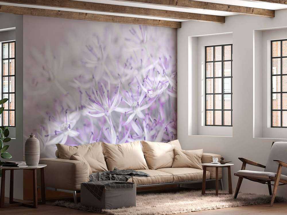 Kwiaty Allium w zbliżeniu