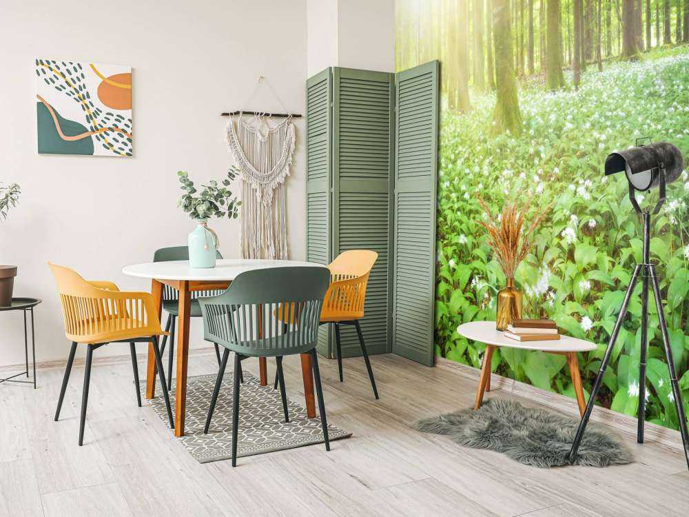 Dziki las o wschodzie słońca