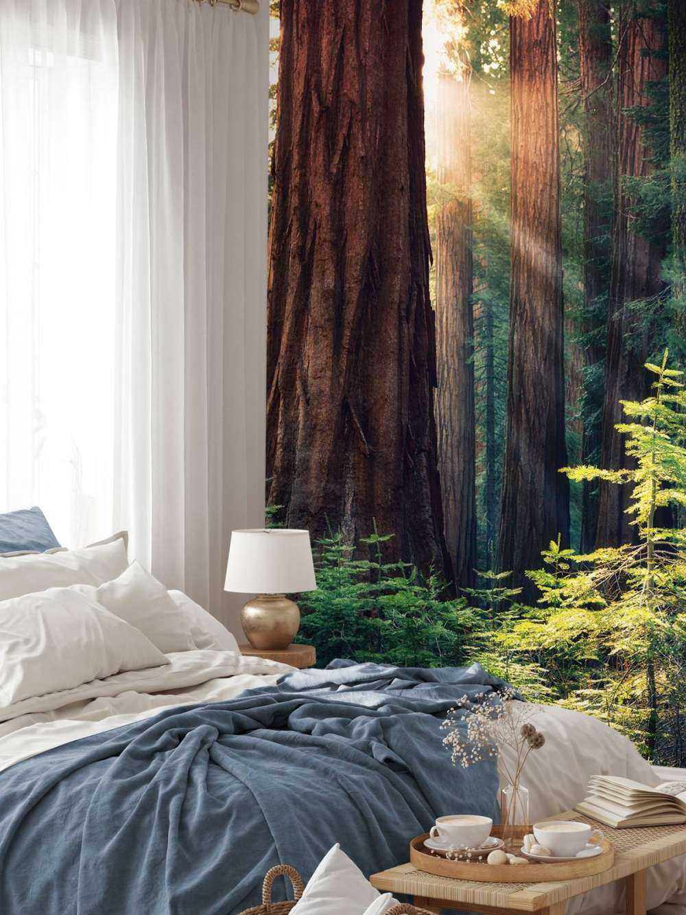 Światło słoneczne między drzewami mahoniowymi