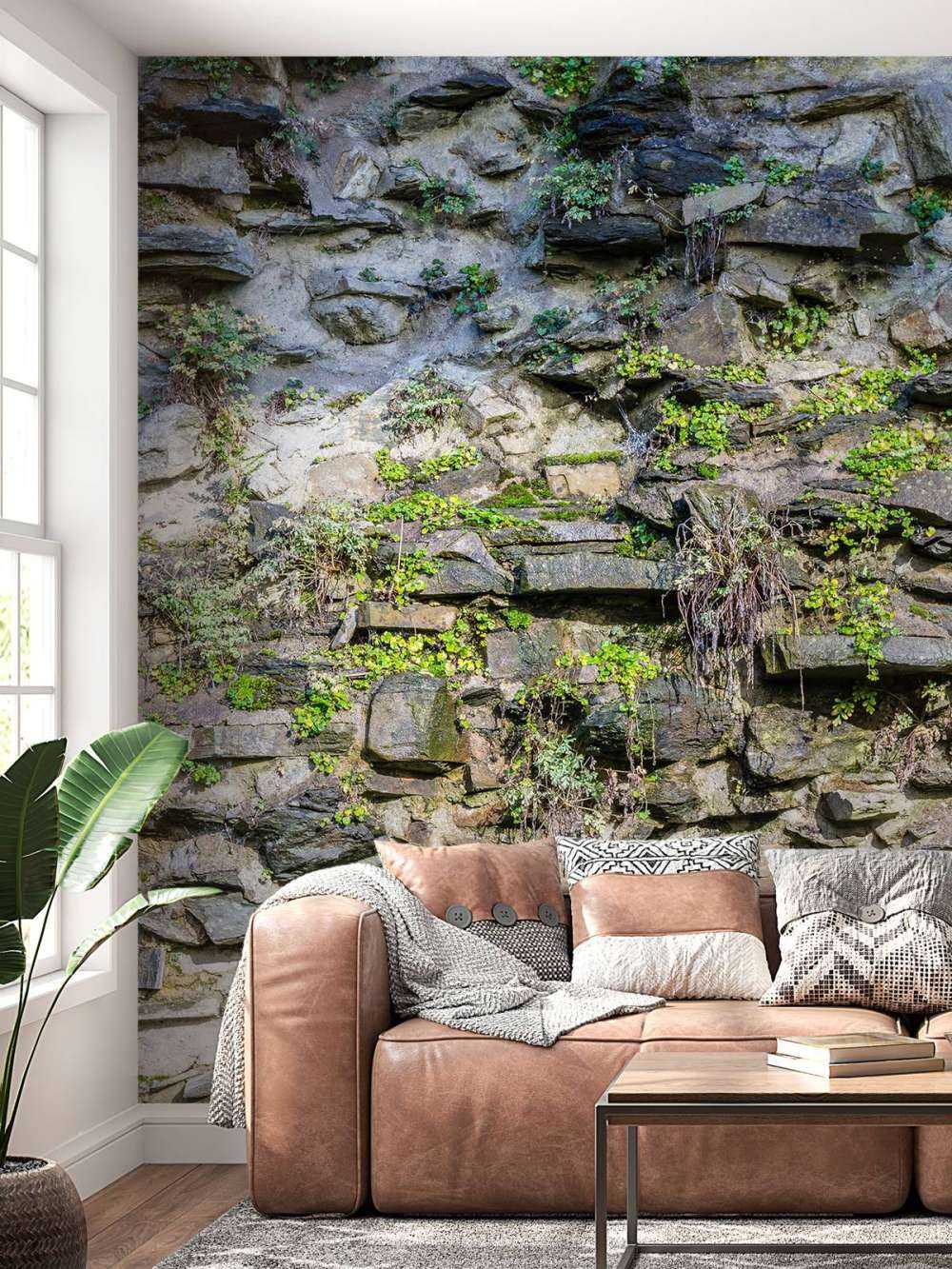 Zarośnięta ściana