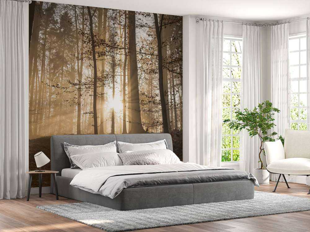 Słońce w mglistym lesie