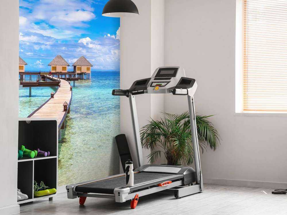 Wille wodne na Malediwach