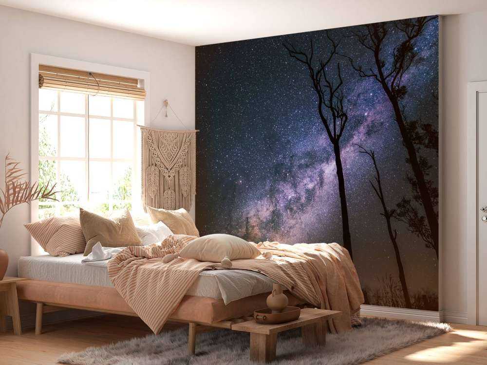 Gwiazdy między drzewami