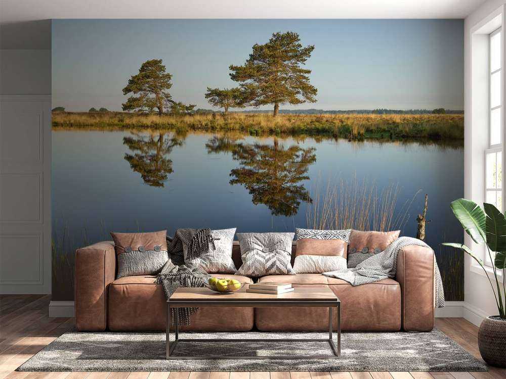 Las na wrzosowiskach