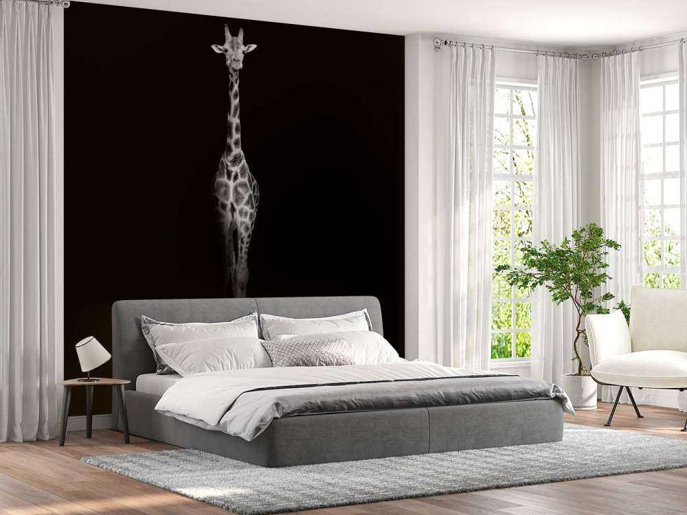 Żyrafa czarno-biała