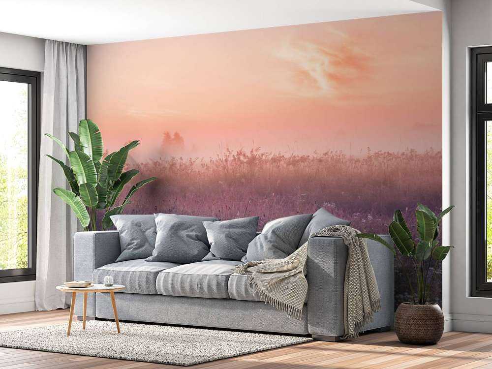 Pole z poranną mgłą