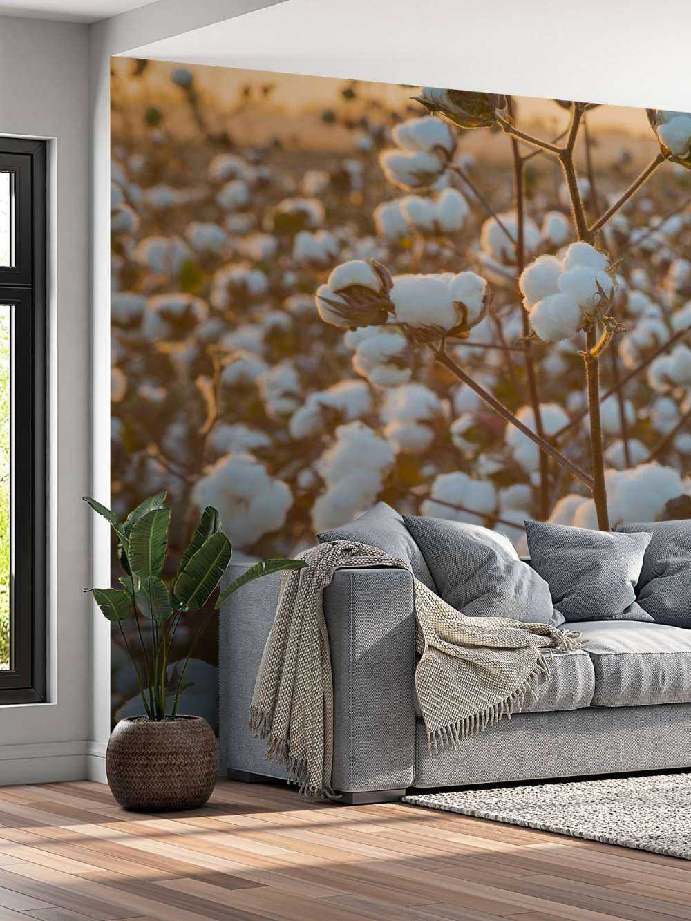 Bawełna Indyjska nad złotożółtym niebem