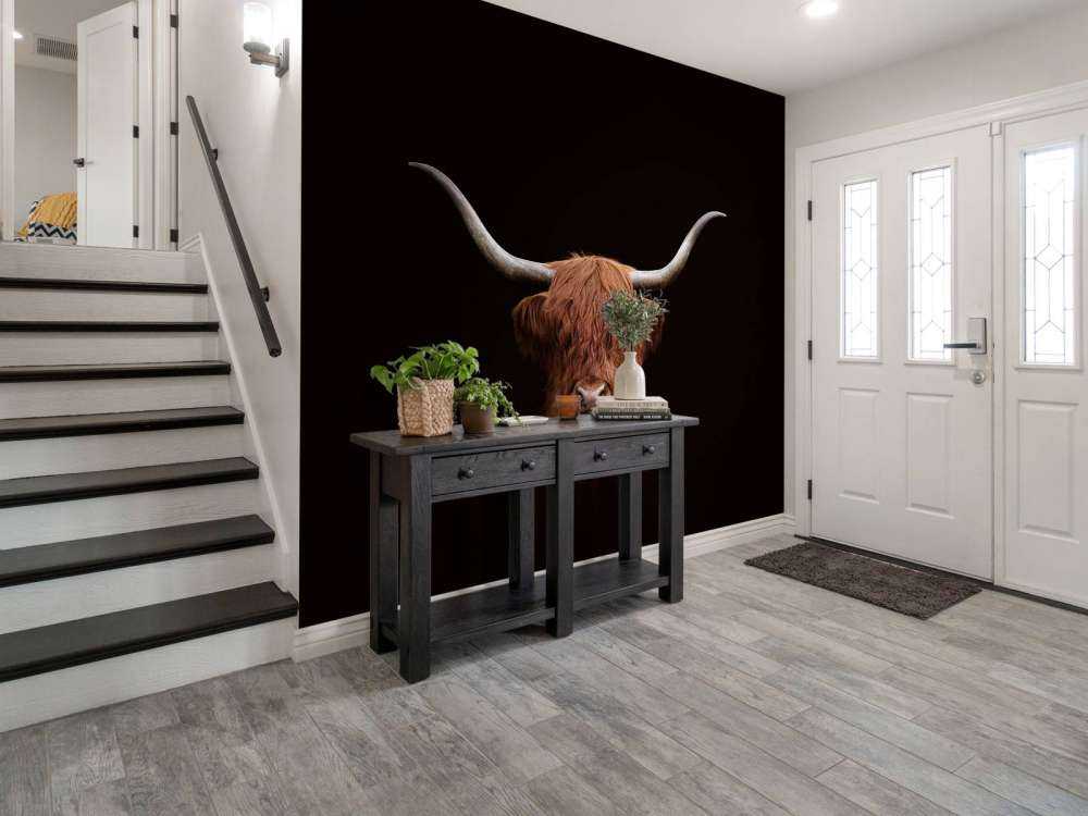 Szkocka rasa wyżynna na ciemnym tle