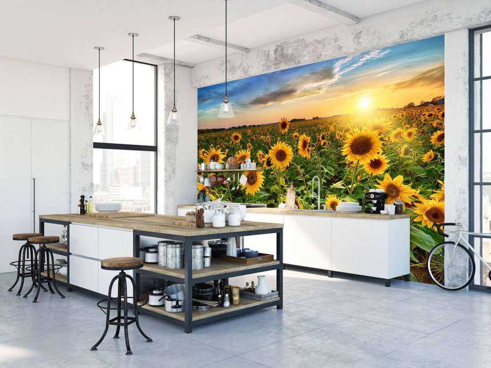 Piękne pole słoneczników