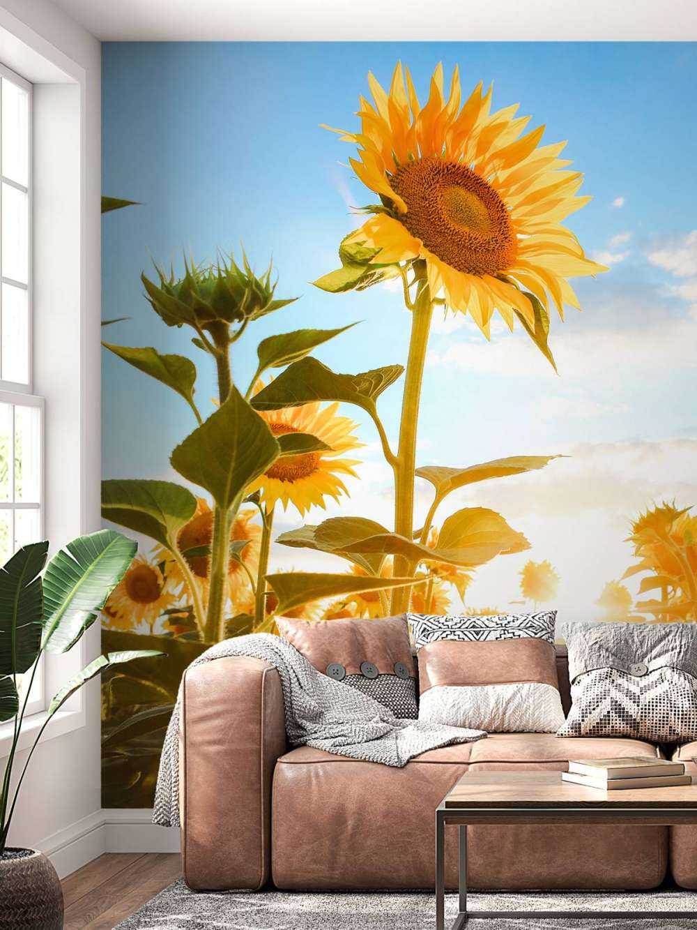 Słonecznik z błękitem nieba