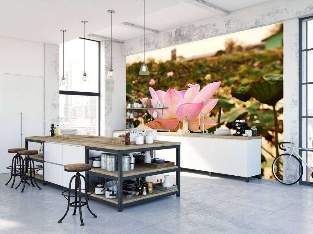 Różowy kwiat lotosu