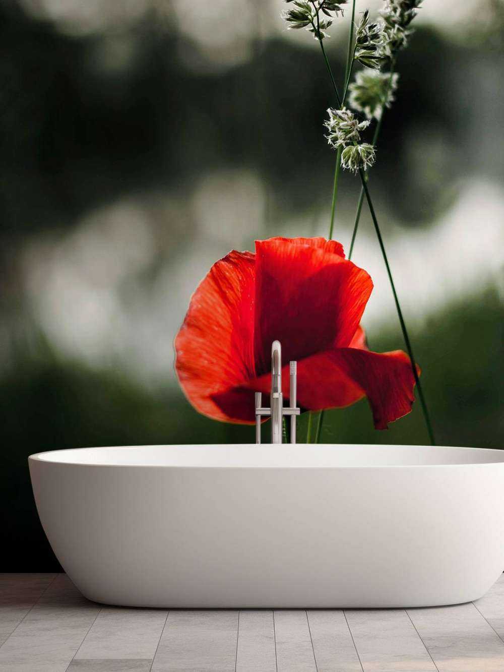 Czerwony mak z trawą