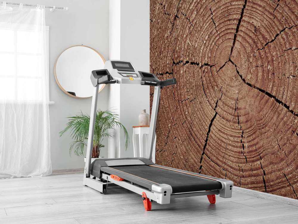 Pień drzewa z słojami rocznymi