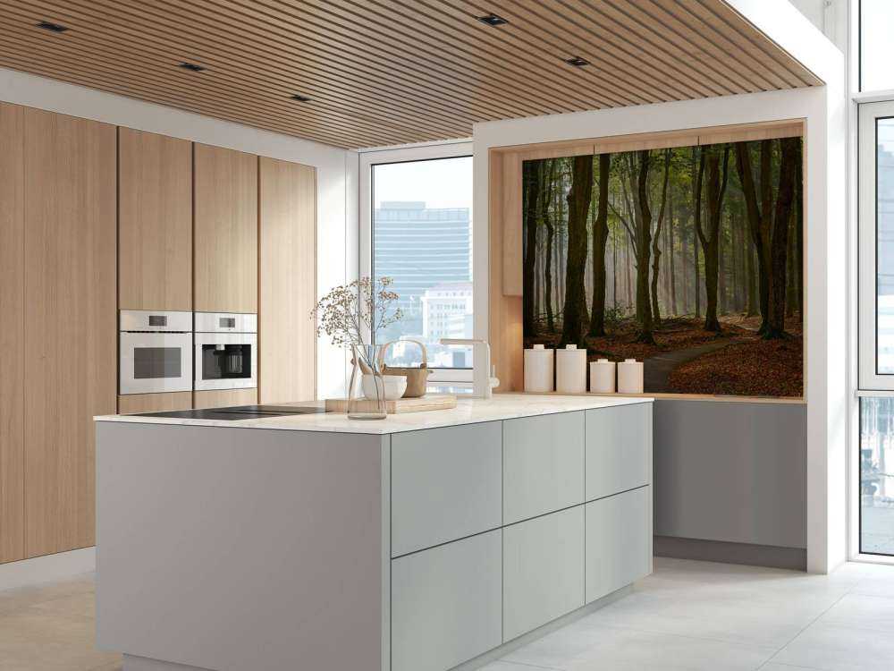 Promienie słońca na ścieżce przez las