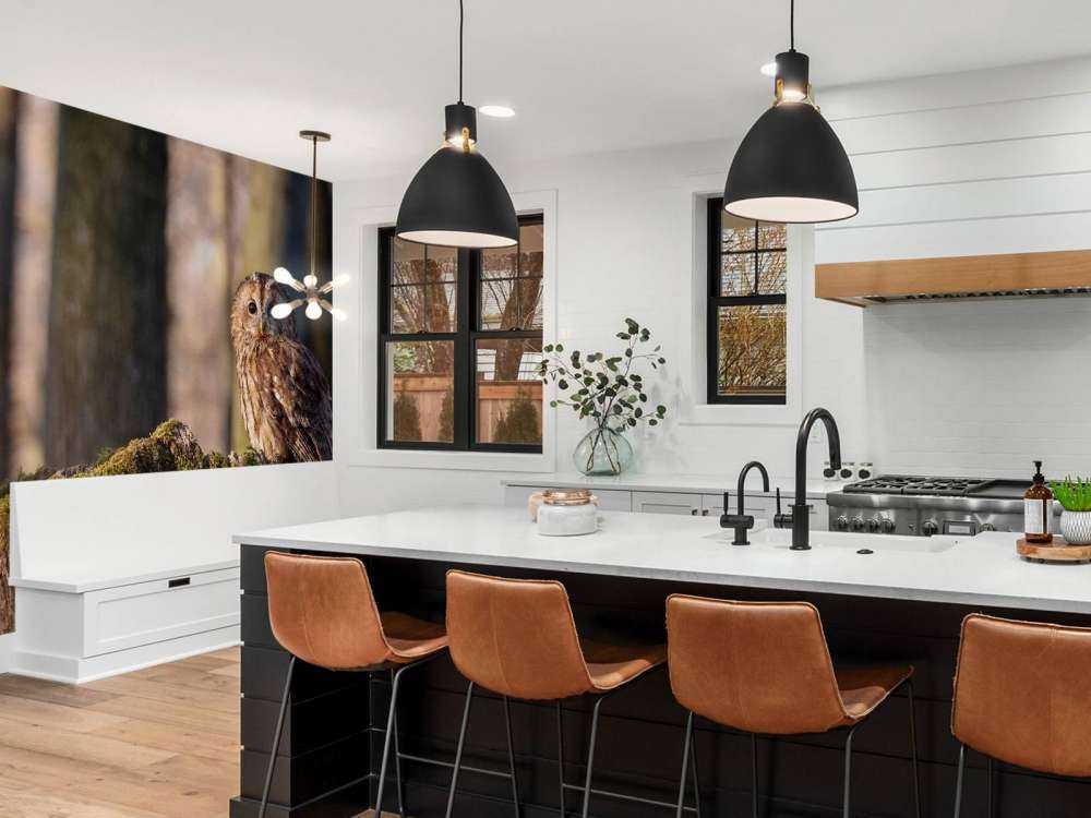 Mała sowa na złamanym drzewie