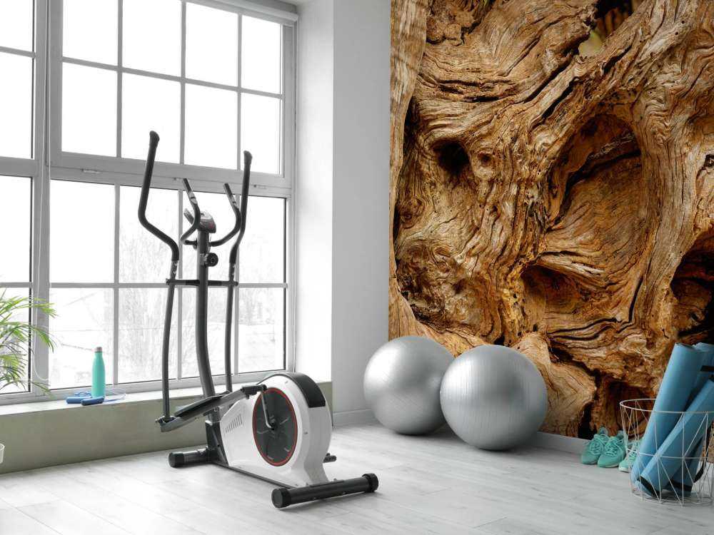 Zbliżenie na stare drzewo