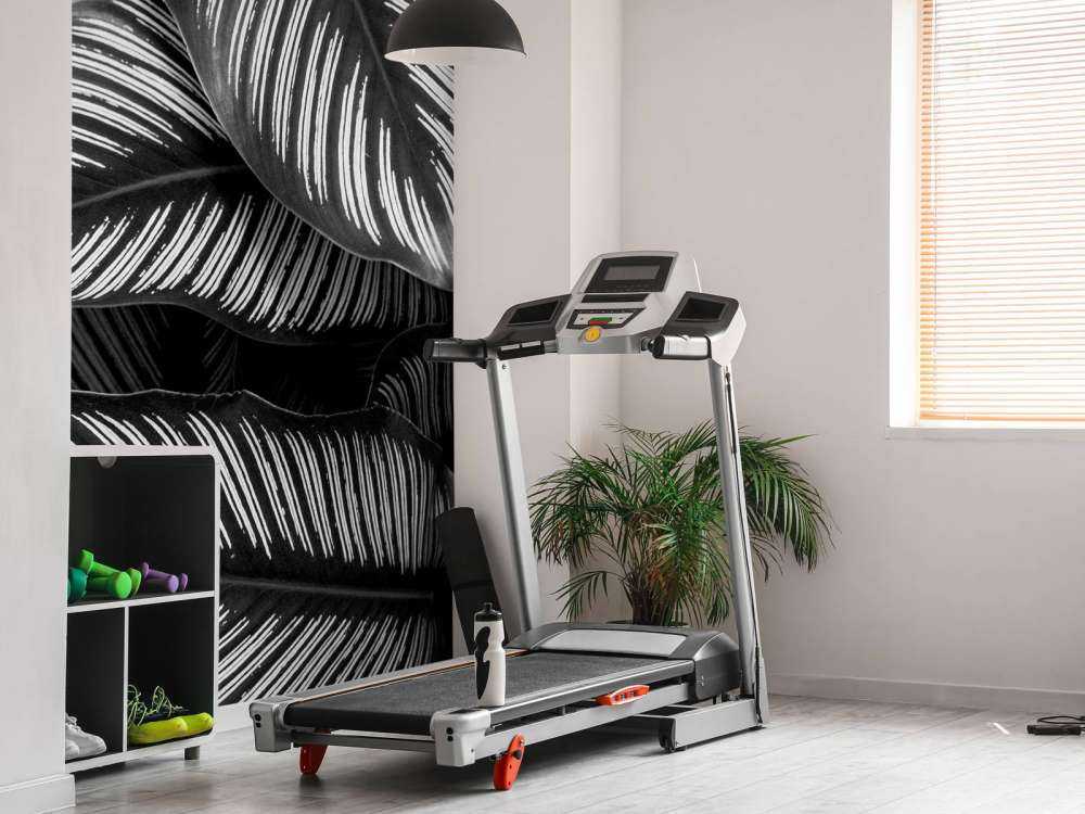 Liście palmy czarno-białej