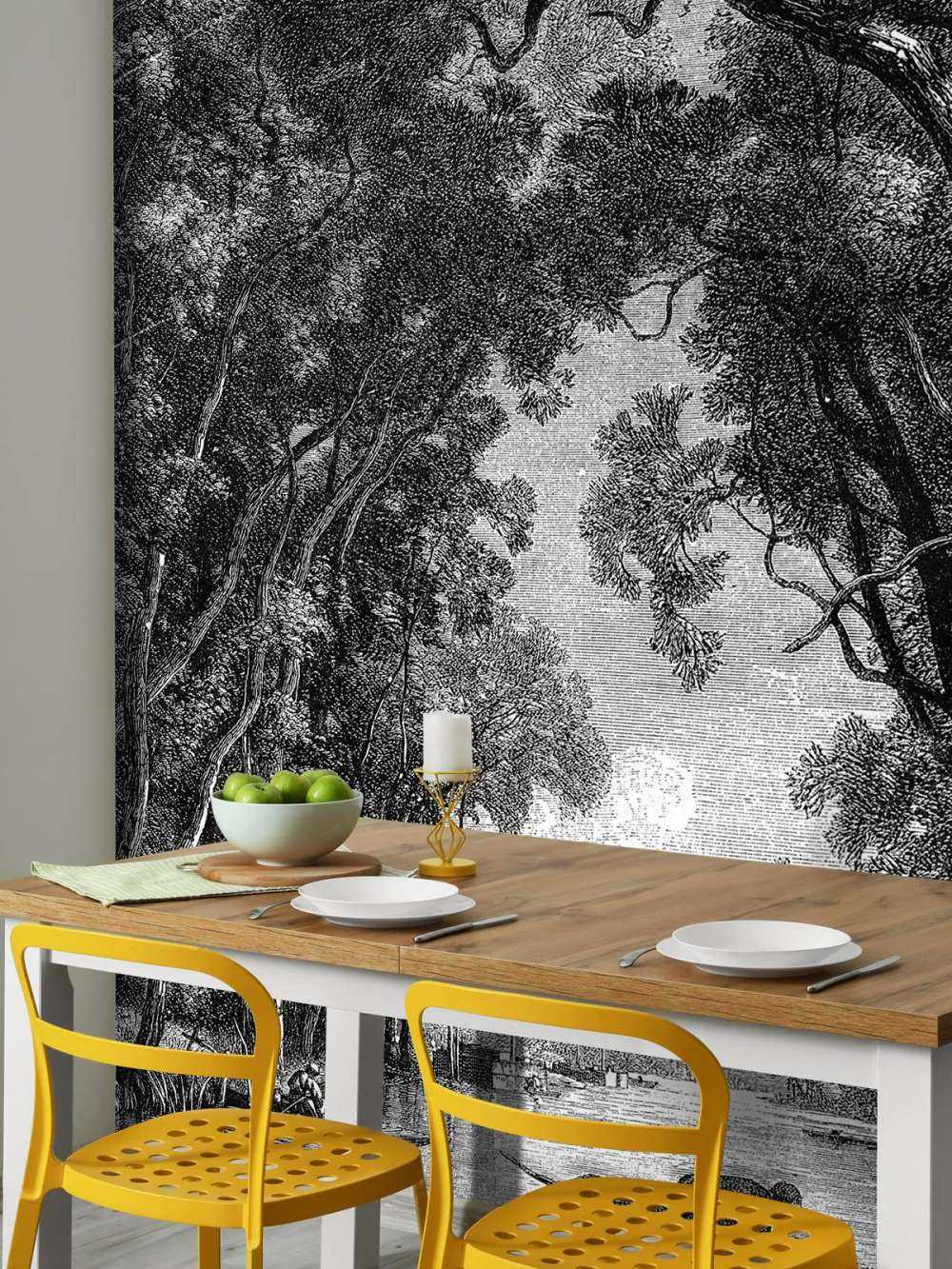 Stara rzeka w dżungli