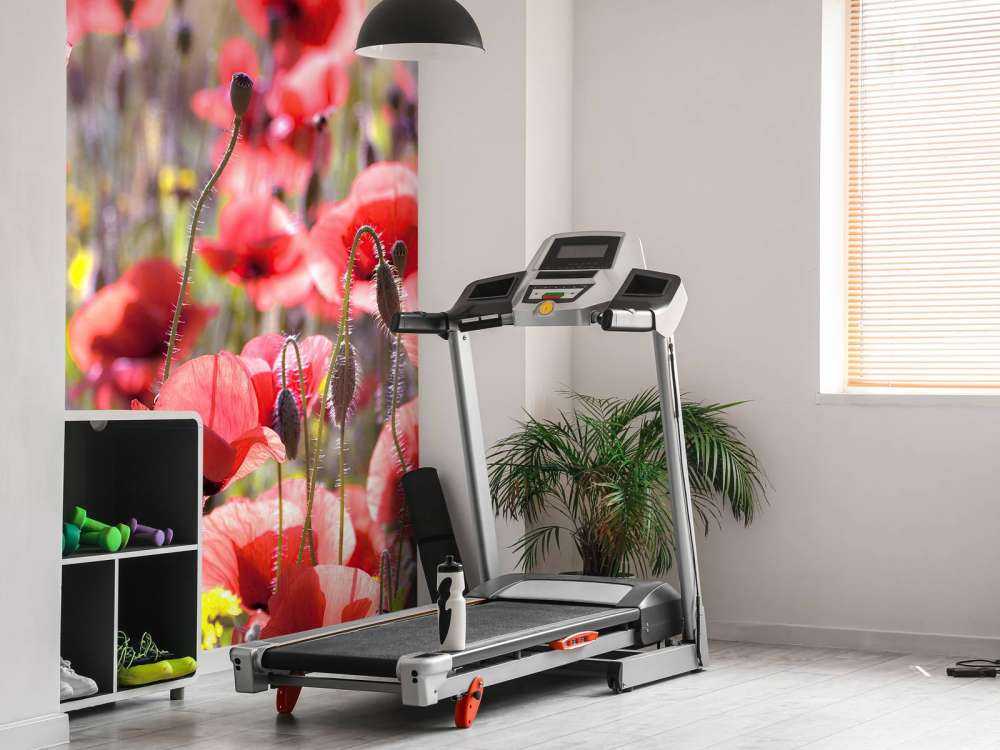 Maki o klasycznym wyglądzie