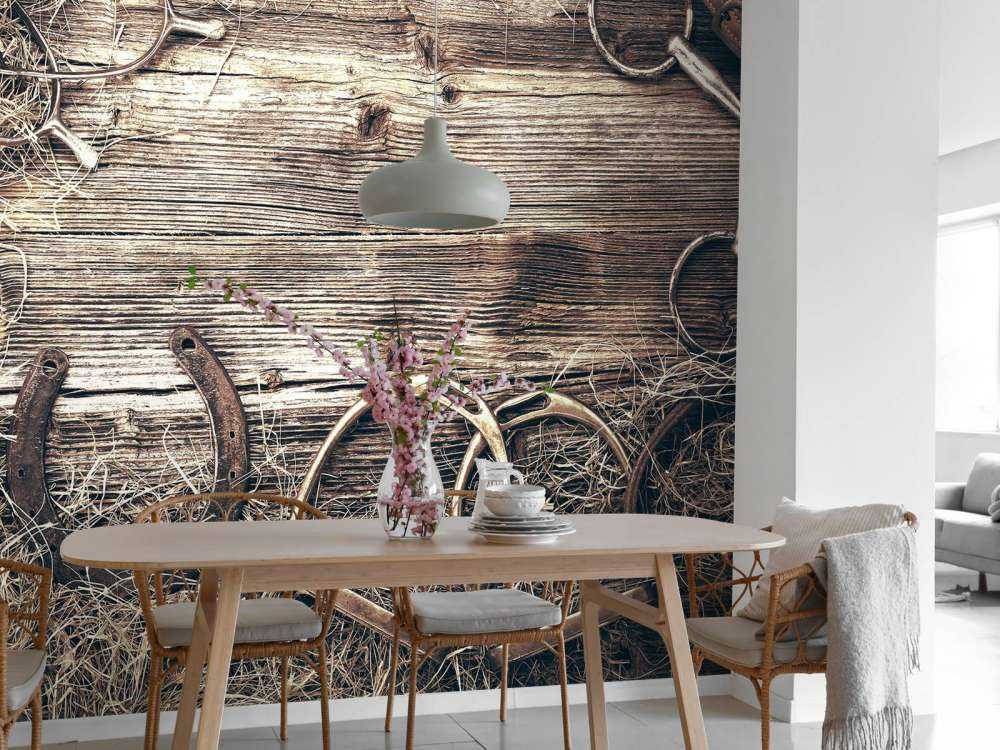 Wyposażenie dla koni