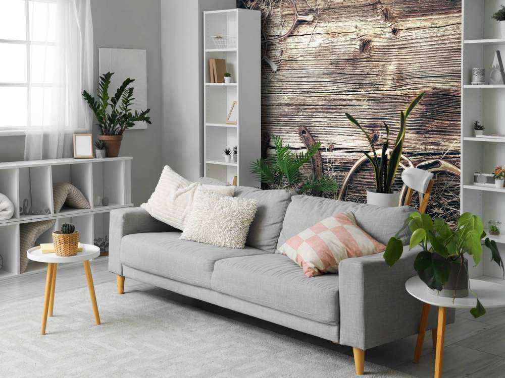 Wyposażenie dla koni