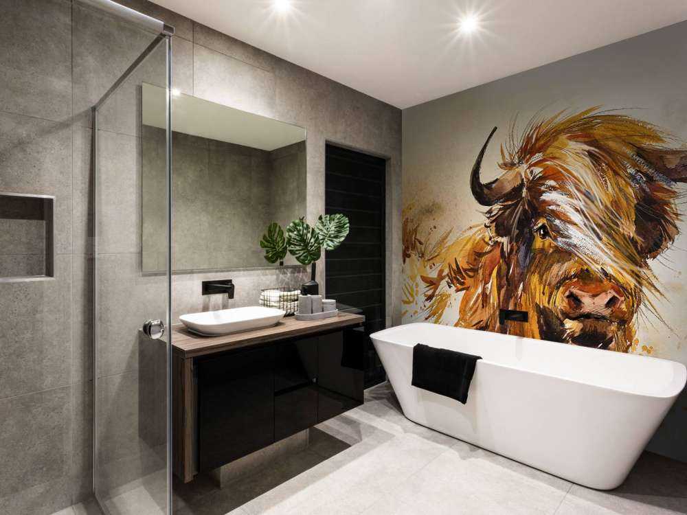 Namalowany szkocki byk