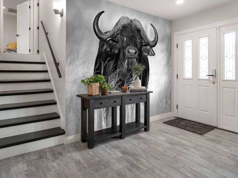 Bawół w czerni i bieli