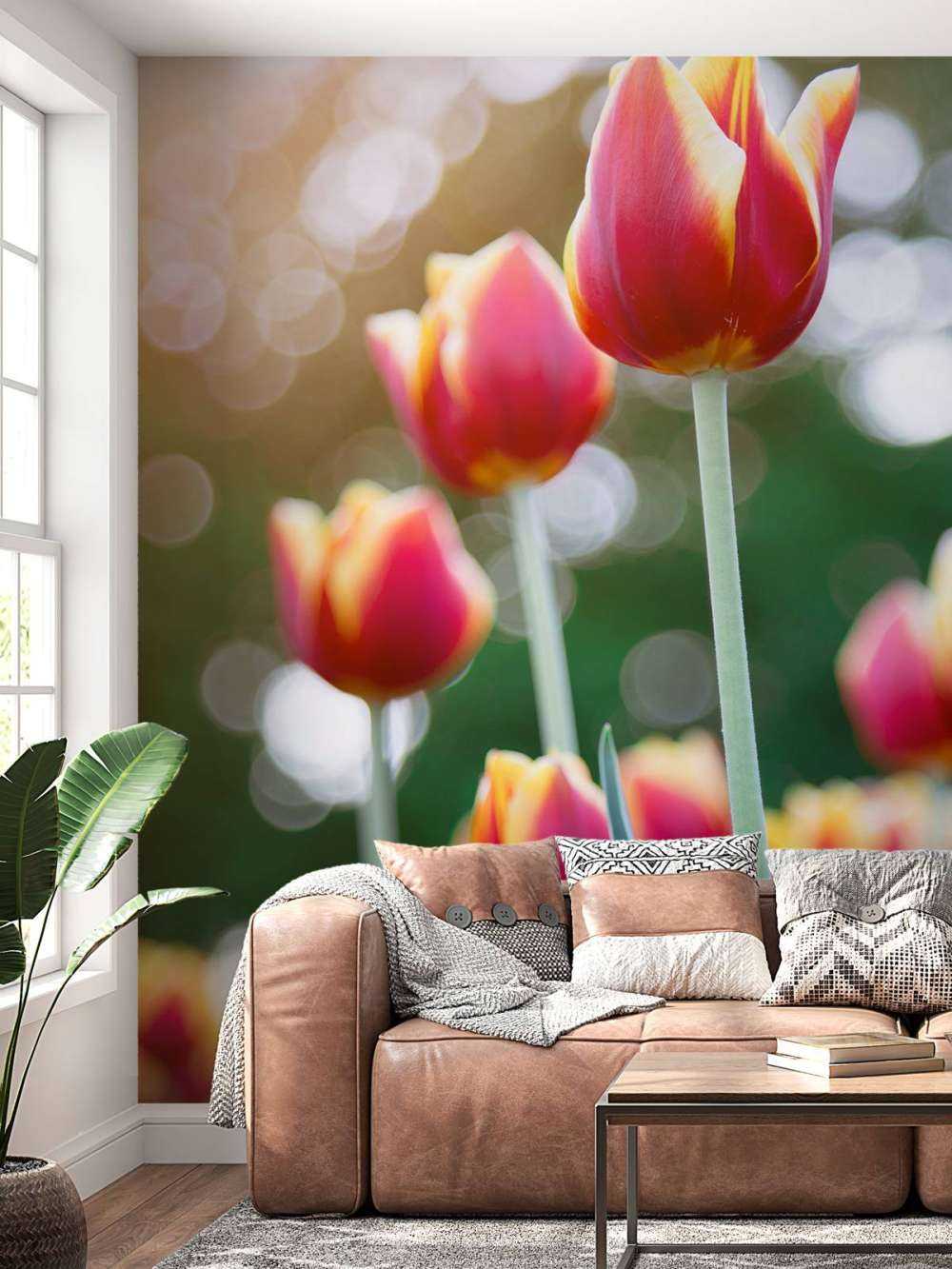 Czerwony z żółtymi tulipanami