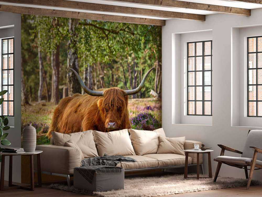 Odpoczywająca szkocka rasa wyżynna