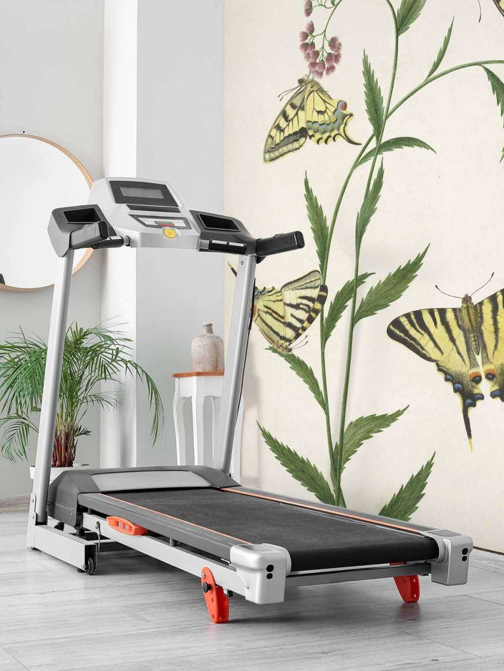 Cztery motyle na kwiatach, Paulus Knogh