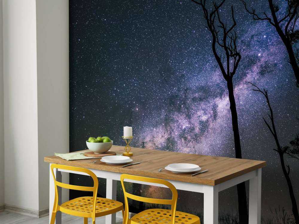 Gwiazdy między drzewami