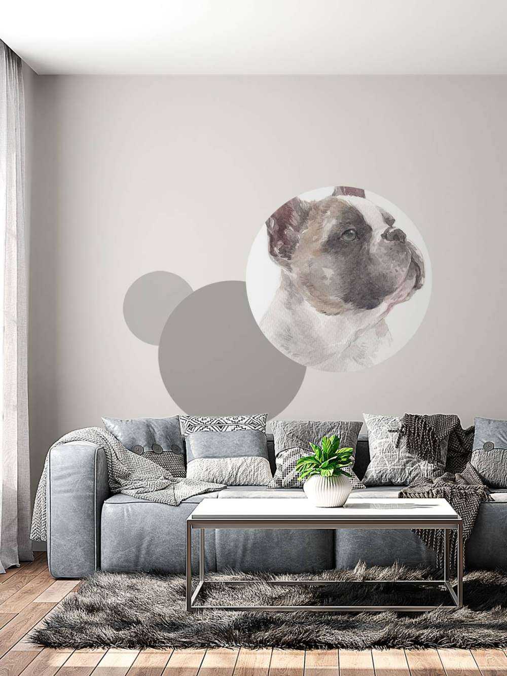 Akwarelowy buldog francuski