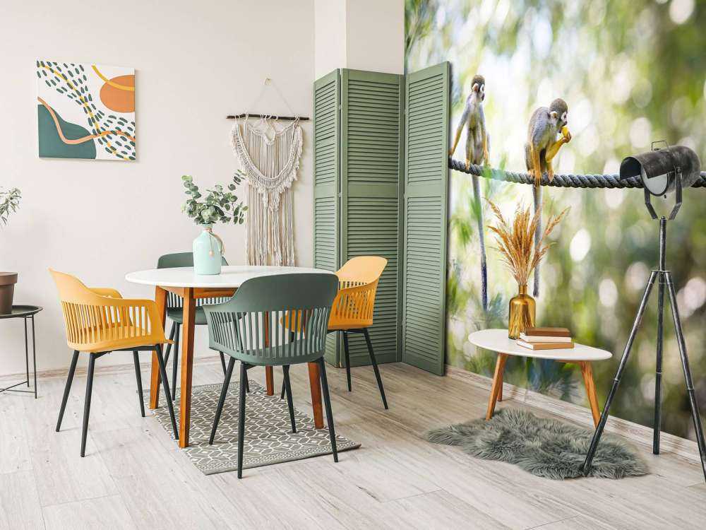 Małpy wiewiórki na linie