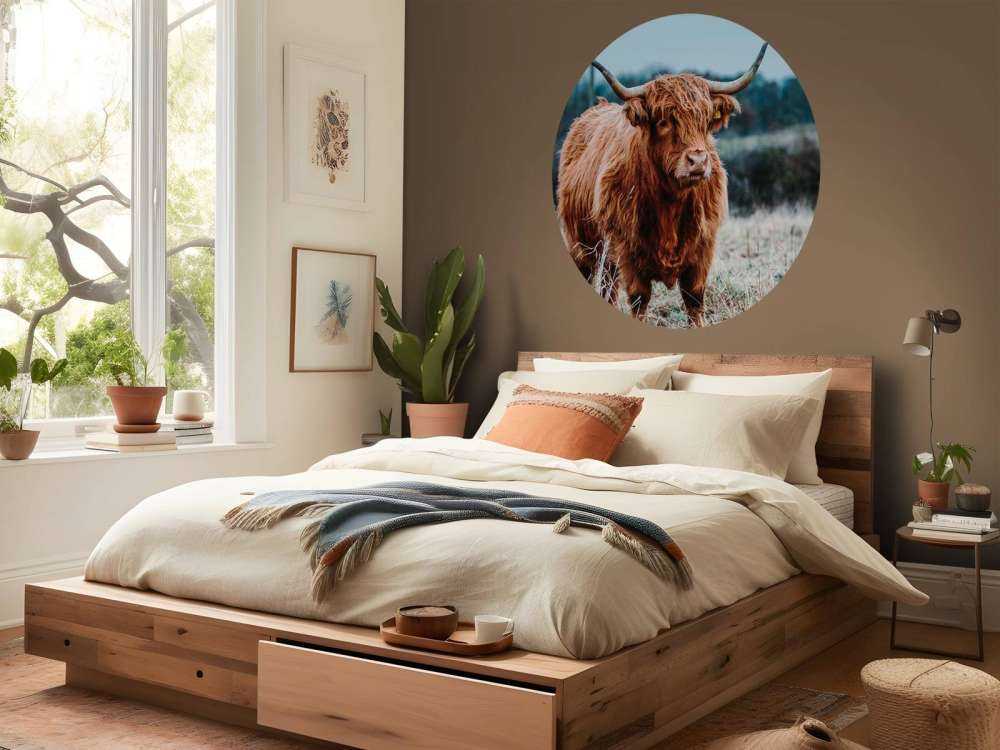 Szkocki wyżyn w lesie