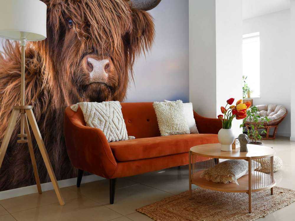 Szkocki wyżyn w roli głównej