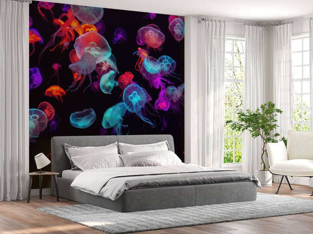 Kolorowa meduza