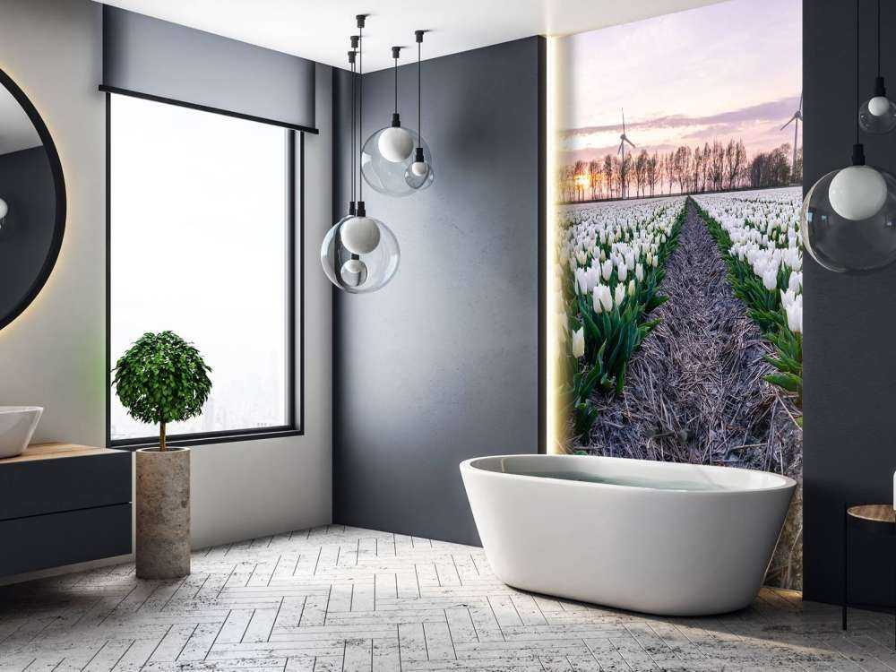 Pole tulipanów białych