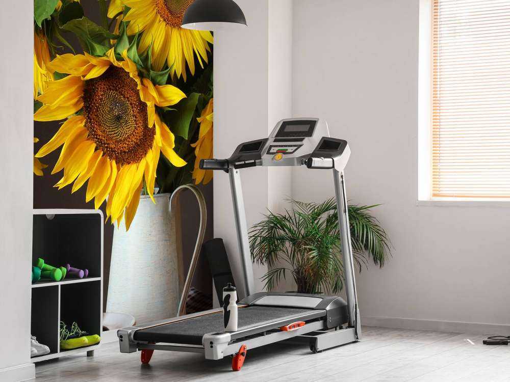 Słoneczniki i jagody